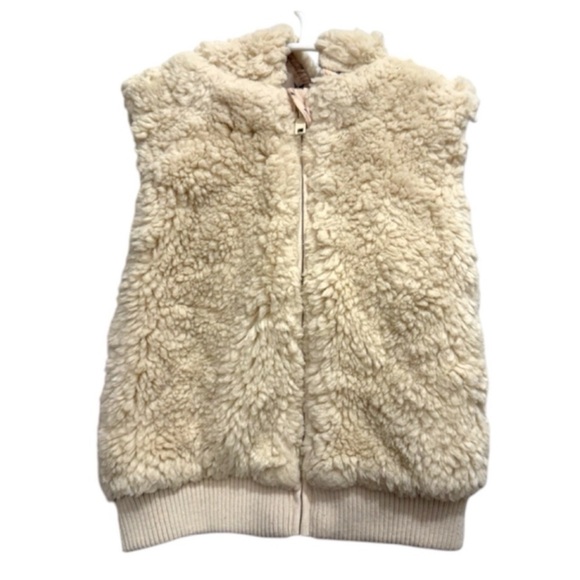 H&M Other - H&M Fur Vest